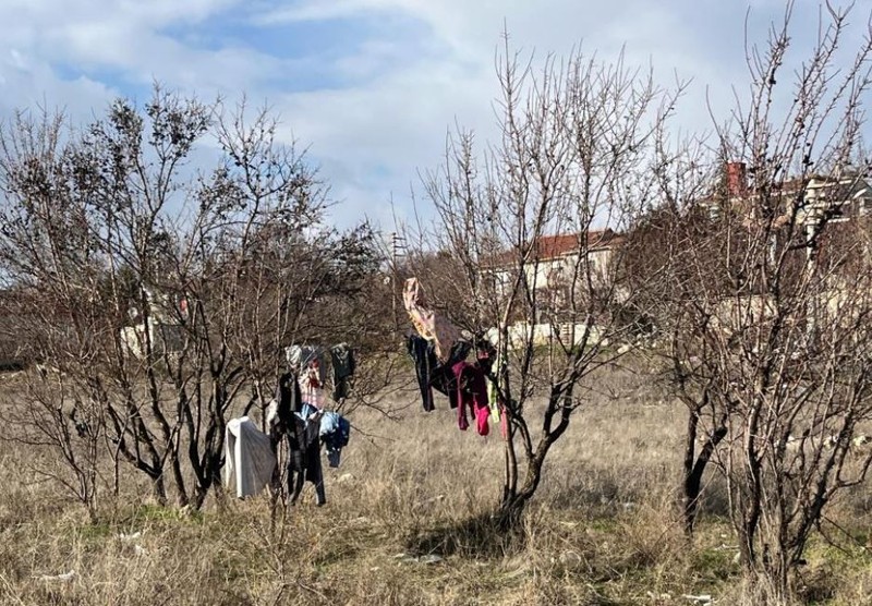 Eskişehir'de Türkiye'ye kış ortasında aslında felaket haber. Ağacın üzerine astı. 1 tane de değildi - Resim: 1