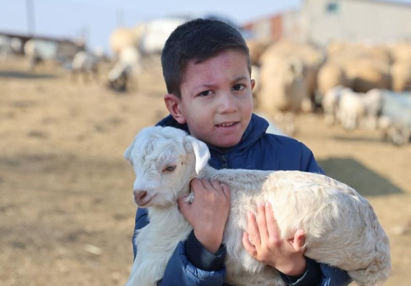 Elazığ'da 300 tane koyunu olan çoban, Türkiye'ye Elazığ'dan resmen korkunç haberi verdi. Köylerde gördüğü bir manzara - Resim: 2