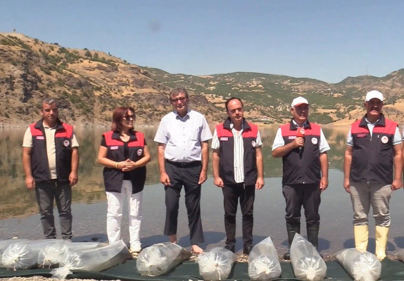 Elazığ’daki göl ve barajlara 5 milyon yavru bırakılacak. İlk aşamada 35 bini salındı - Resim: 3