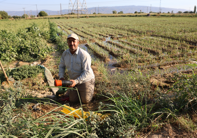 Aydın ovasında kuraklık nedeniyle çiftçiler sulamayı gece ve sabah erken saatlere çekti - Resim: 1