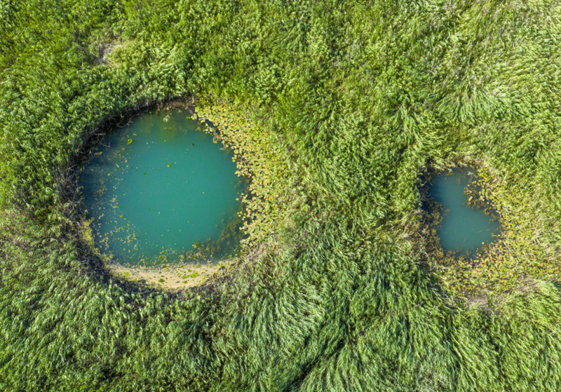 Beyşehir Gölü'nde kuraklık nedeniyle su seviyesi düştü, yeni gözeler gün yüzüne çıktı - Resim: 3