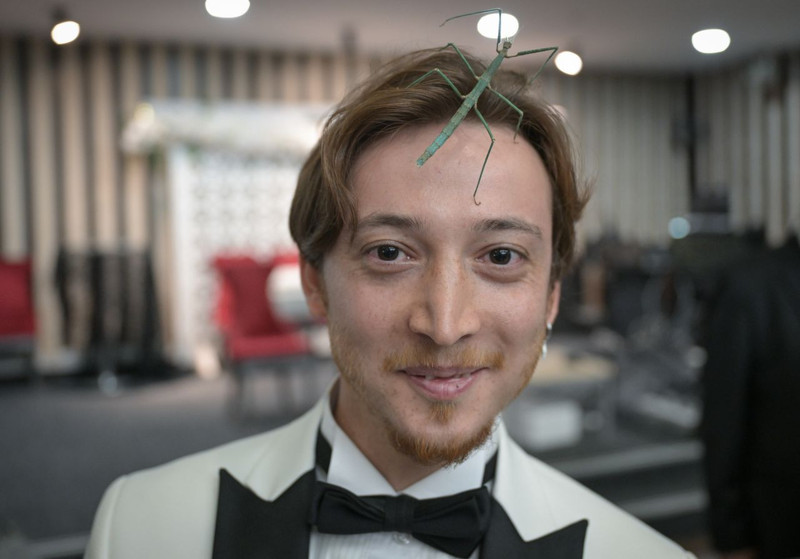 Sıra dışı takı merasimi! “Altından daha değerli” dedi: Arkadaşları damada egzotik hayvan getirdi - Resim: 2