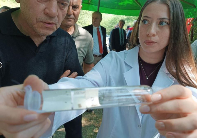 Samsun, Ordu, Trabzon, Düzce, Sakarya, Marmara'da çalışmalar acilen hızlandırıldı! 15.000 + 300 tanesi daha doğaya salındı - Resim: 4