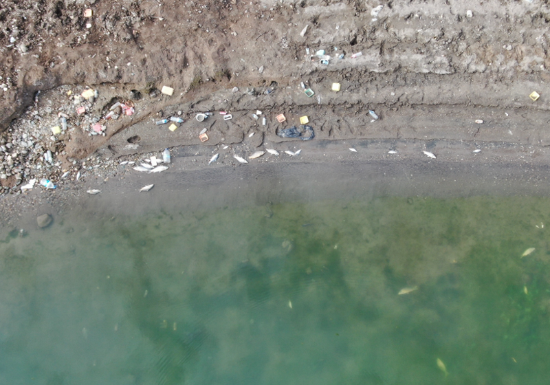 Kastamonu’da baraj çekildi, kıyılarda acı tablo ortaya çıktı - Resim: 3