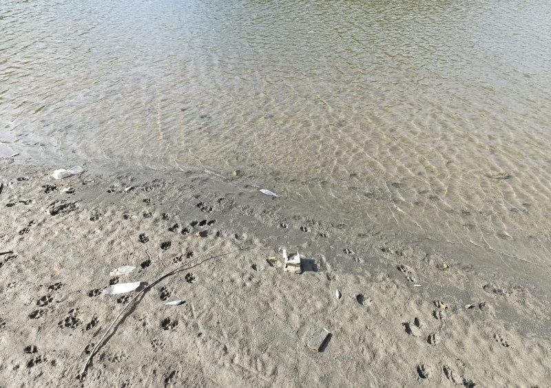 Bursa’da 1'er 1'er ölüyorlar! Sebebinin ne olduğu ise hala bilinmiyor - Resim: 2