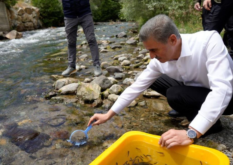 Gümüşhane’de devlet kontrolünde tam 10.000 tanesi doğaya salındı. Kimsenin dokunmaması gerekiyor - Resim: 2
