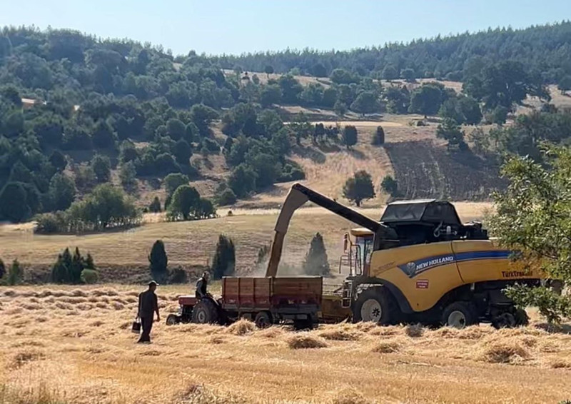 Kütahya’da biçerdöverler tarlaya indi, Göbel köyünde sıcak havaya rağmen hasat tüm hızıyla sürüyor - Resim: 1