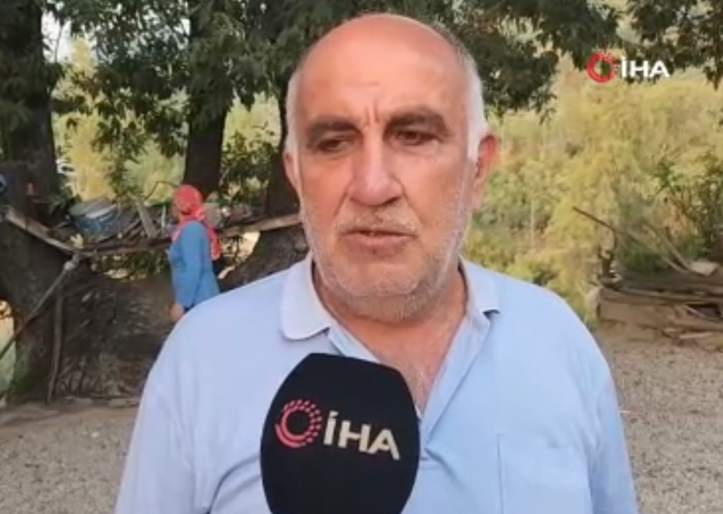 Osmaniye’de bir ağacın dallarında beliren sır. Herkes aynı kelimeyi gördü - Resim: 4