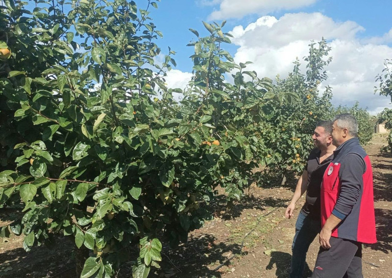 Çanakkale’de dolu yağışı tarım arazilerini vurdu! ekipler sahada hasar tespiti yaptı - Resim: 2