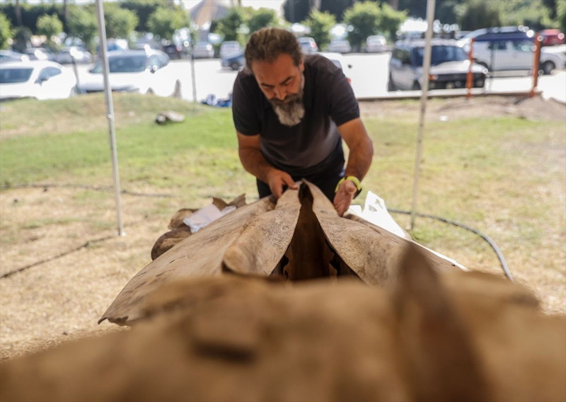 Mersin’de 14 metrelik devin iskeleti ortaya çıkarıldı! Eşsiz kalıntı sergileneceği günü bekliyor - Resim: 3