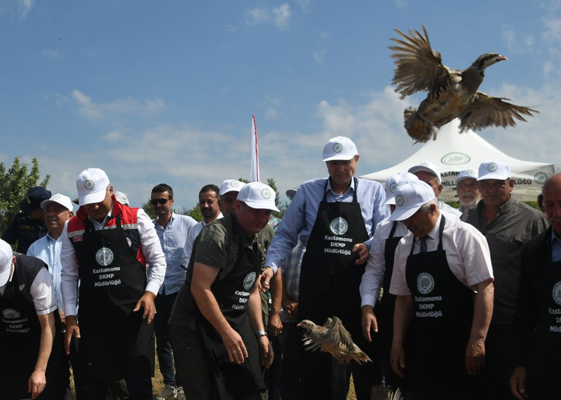 Kastamonu’da 2 bin 100 tanesi tek tek özel taşıma kutularıyla getirildi! Doğaya salındılar, ilk görüntüler ortaya çıktı - Resim: 5