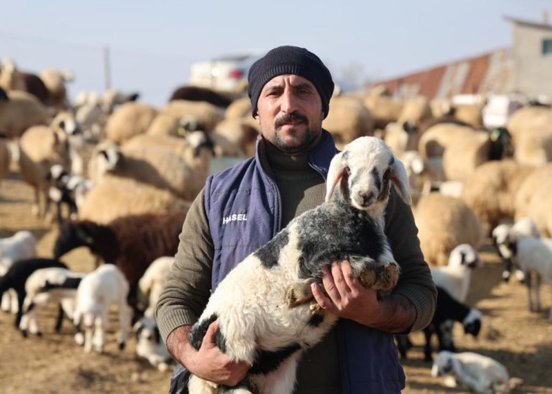 Elazığ'da 300 tane koyunu olan çoban, Türkiye'ye Elazığ'dan resmen korkunç haberi verdi. Köylerde gördüğü bir manzara - Resim: 1