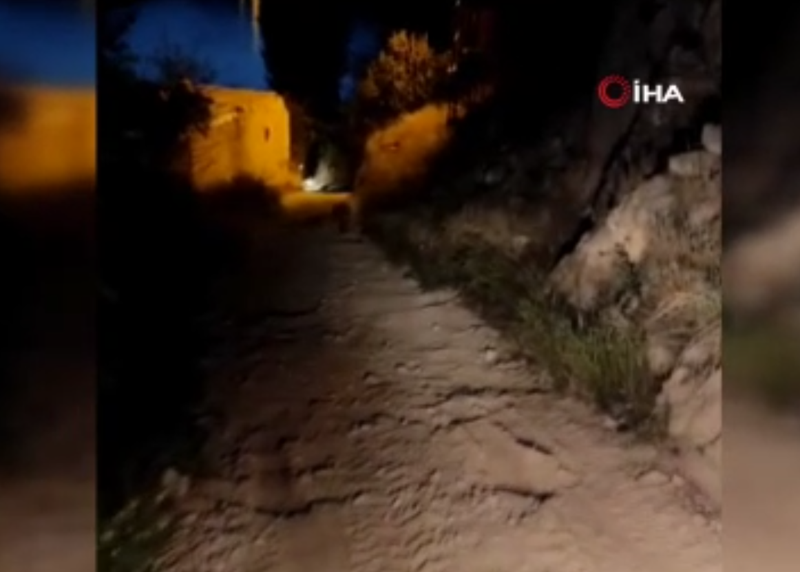 Şanlıurfa'da normalde Doğu Afrika'da yaşayan yırtıcı hayvandan 1 tanesi ortaya çıktı. 1 tane hayvanın hareketi herkesi buz kestirdi - Resim: 3
