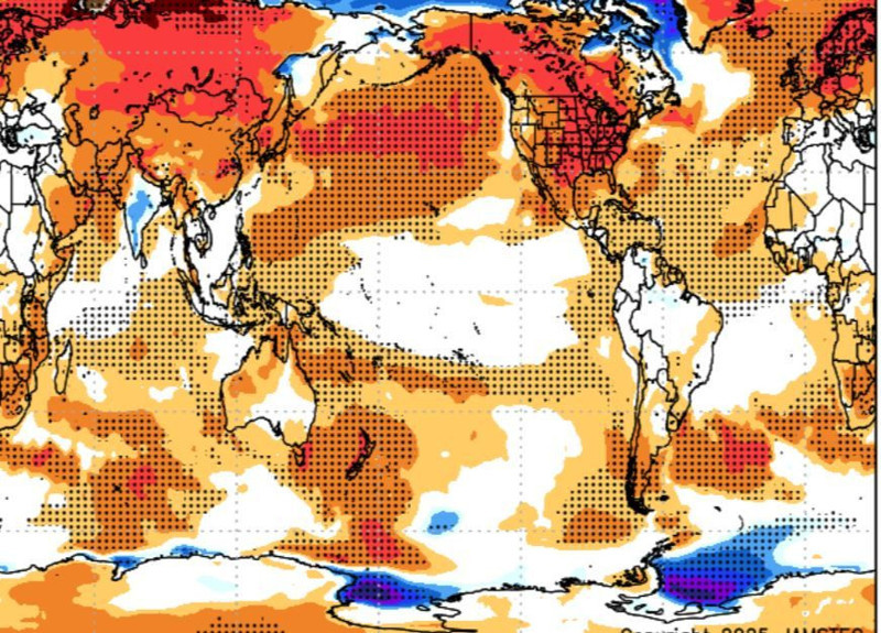 Uzun yıllardır görülmemişti! Türkiye'yi heyecanlandıran gelişme, gelirse 1 ay gitmeyecek - Resim: 2