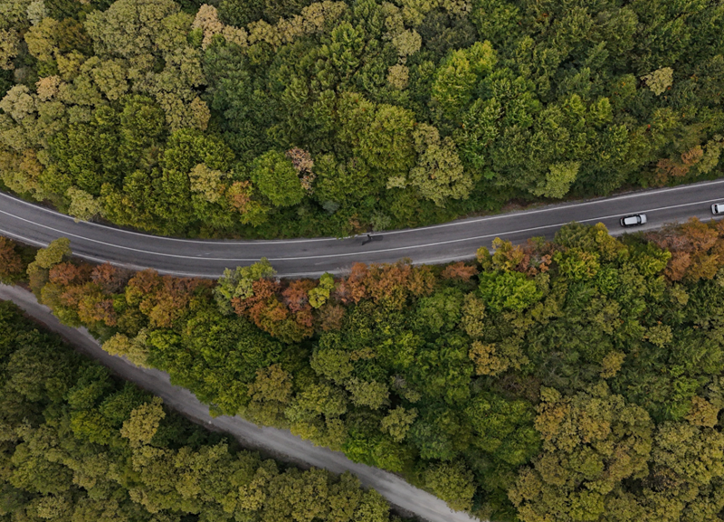 Bolu'da sonbahar renkleri ormanlara hakim oldu! Ortaya unutulmaz görüntüler çıktı - Resim: 2