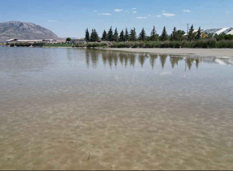 Sivas'ın ulusal öneme sahip gölü yok olma tehlikesinde. Göçmen kuşlar bile orayı terk ediyor - Resim: 5