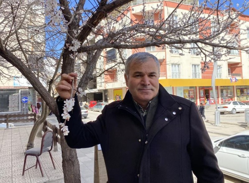 Yozgat'ta kayısı ağacını kontrol etmeye giden vatandaş karşısında dehşet veren bir manzara gördü. 20 birden düşecek. Türkiye'ye korkunç turuncu haberi verdi - Resim: 1