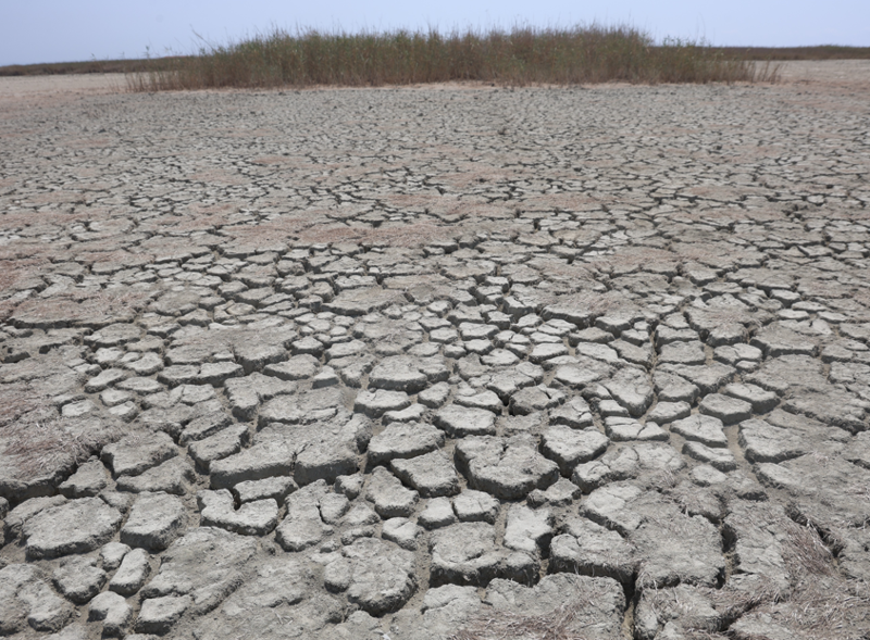 Hatay’da 314 türe ev sahipliği yapan o yer, tamamen kurudu! Kuş cenneti böyle görüntülendi - Resim: 4