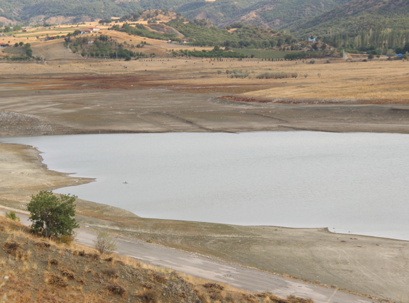 Çorum’da 2 ayda su seviyesi hızla düştü, gövdeden tepecikler ortaya çıktı - Resim: 6