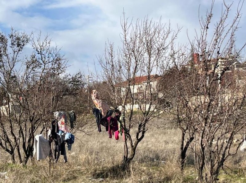 Eskişehir'de Türkiye'ye kış ortasında aslında felaket haber. Ağacın üzerine astı. 1 tane de değildi - Resim: 3