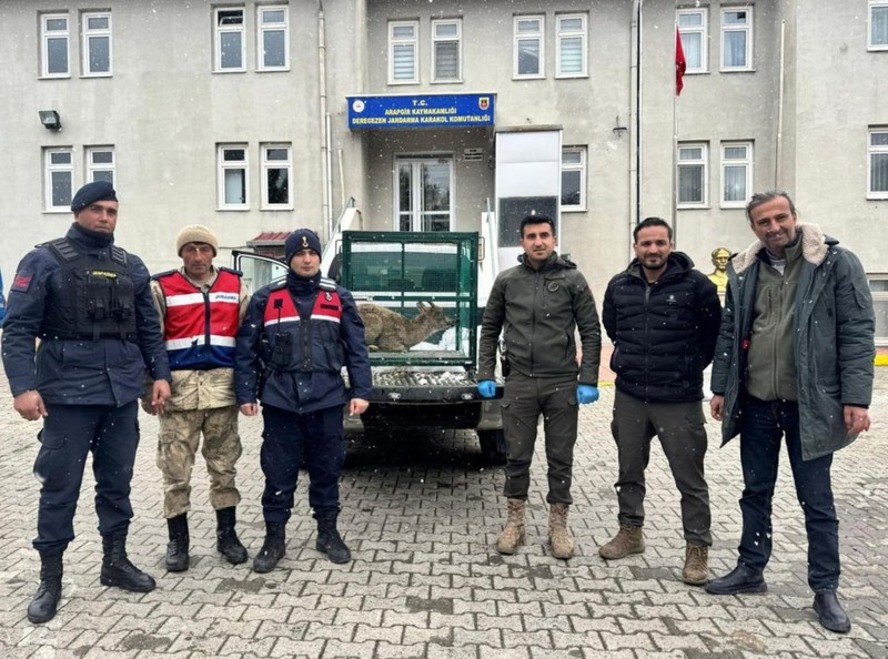 Malatya'da jandarma ekipleri doğada gezdikleri sırada 1 tane keçi fark etti. Keçinin yanına yaklaşınca duygulandıran manzarayı gördüler - Resim: 2