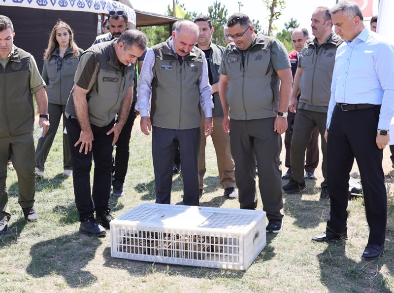 Çorum’da hepsi bir hedef için toplandı… 300 canlı farklı yönlere dağıldı - Resim: 6