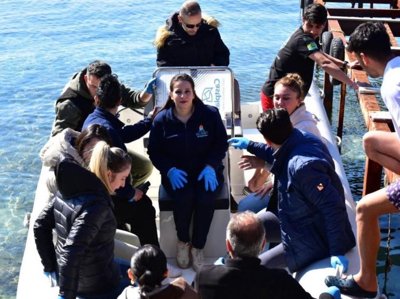 Aydın'da 500'lercesi teker teker toplandıktan sonra kara poşetlere yerleştirilip ağızları sıkıca bağlandı. 500'lerce siyah poşettekilerin hepsi yok edilecek - Resim: 4