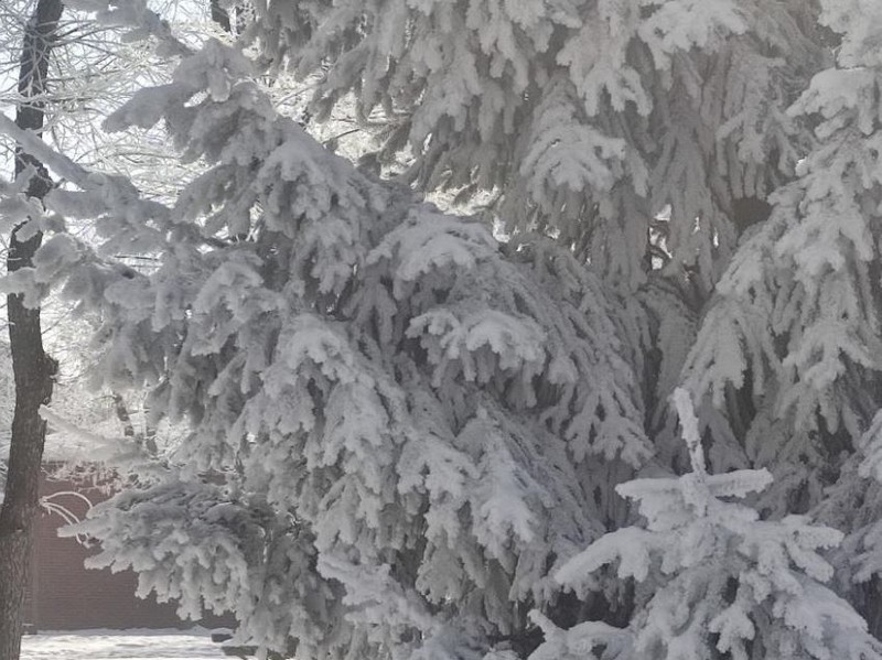 Ardahan’da -31,5 dereceye indi, havadaki hayvanlar bile dondu kaldı. "Çok büyük bir felaket bu" - Resim: 5