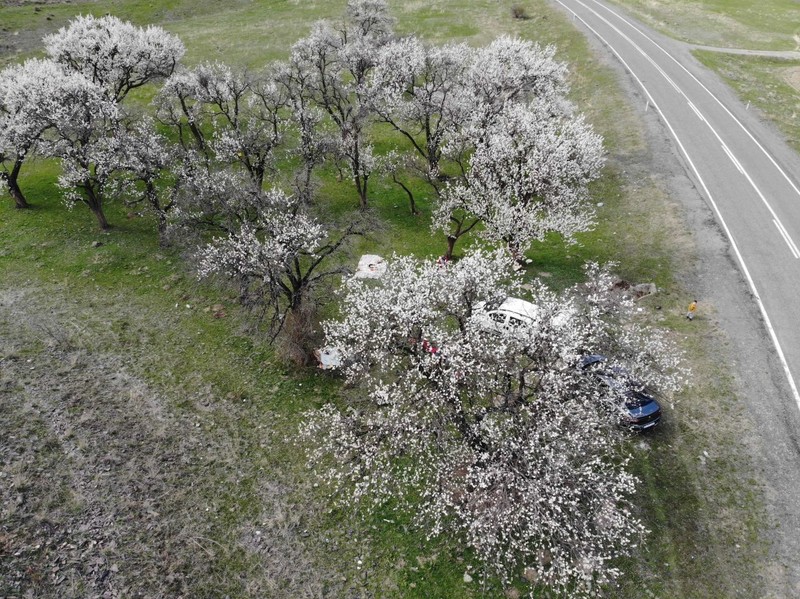 Kars’ta 500'lercesi teker teker kendisini gösterdi. Kırsal alanda ortaya harika bir manzara çıktı - Resim: 3