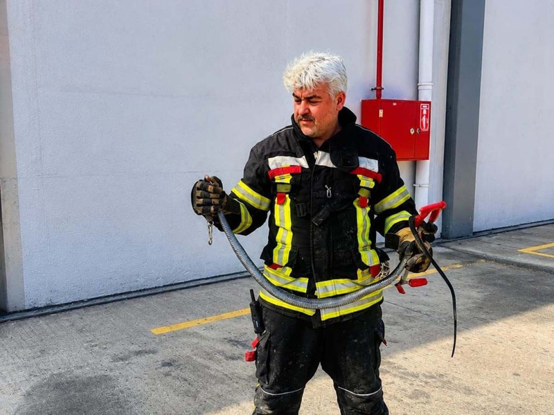 Mersin'de son 1,5 ayda 184 vaka görüldü! Türkiye'nin her yerindeler - Resim: 4