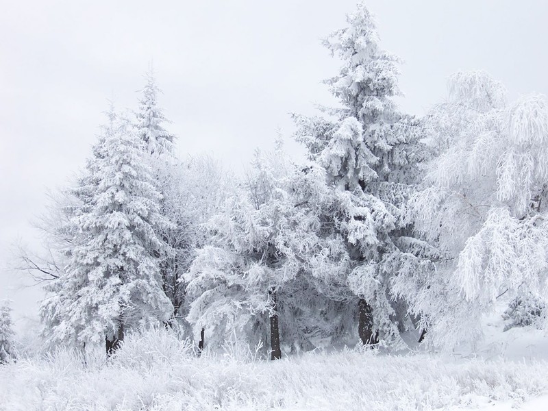 31 Ocak hava durumu! Meteoroloji’den 46 kente sarı kodlu uyarı! - Resim: 31