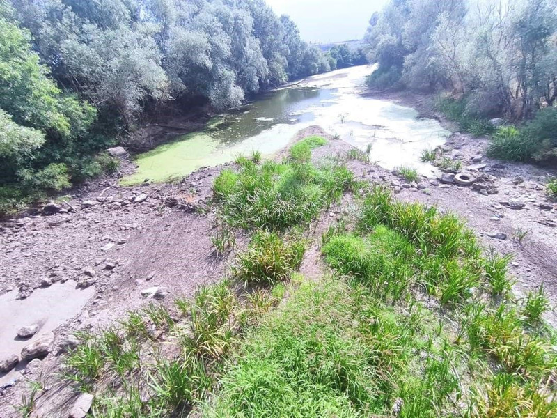 Edirne'den Türkiye için felaket haberi geldi.. Kara haber 6 saatte tüm Türkiye'ye yayıldı. Hepimizi kökten vuracak - Resim: 7