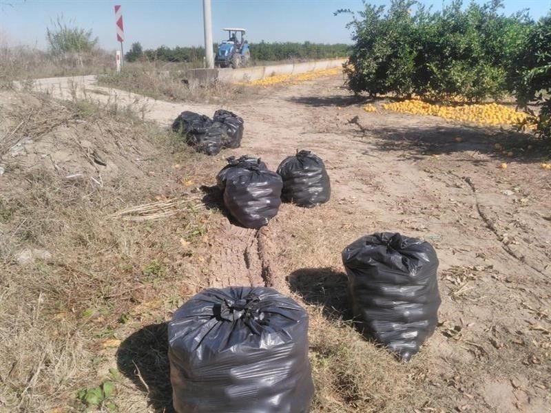 Mersin'de de halka çağrı yapıldı... 1000'lercesini siyah poşetlere koyup çöplere atın. Hayvanları azdırıyor - Resim: 1