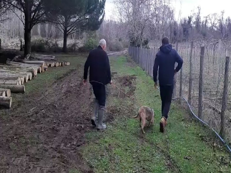 Bursa'da 3 gün önce kaybolan vahşi hayvan, 3 günden bu yana ortada yok. Hiçbir ize rastlanmadı. İnsanlı yerde ortaya çıkarsa korkunç olur - Resim: 1