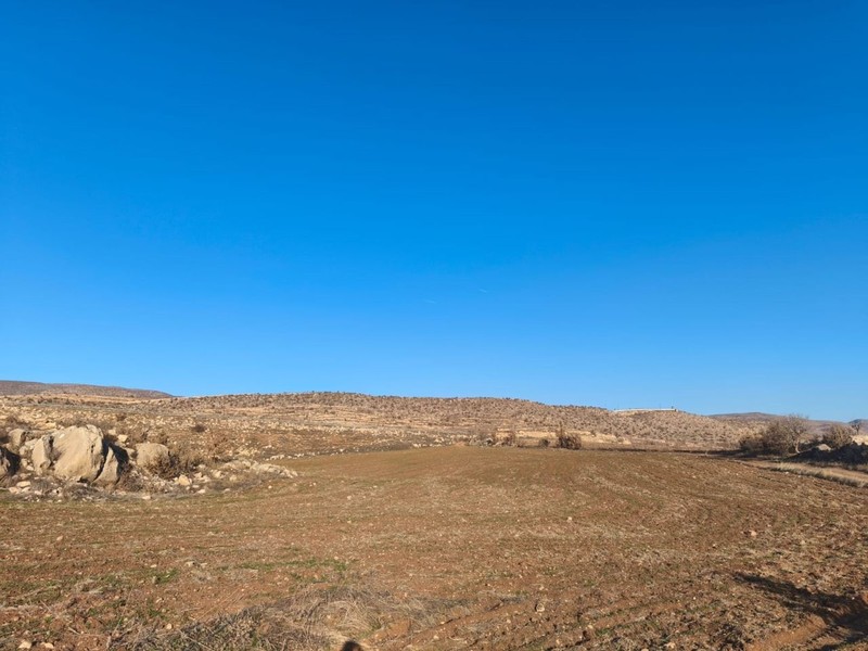 Siirt'te yaşayan 1 çiftçi, Türkiye'ye Siirt'ten kara haber verdi. Resmen felaket bir durum bu yakında Türkiye'yi saracak - Resim: 1