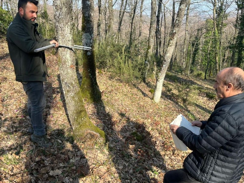 Bursa'da 1000 tane bile olsa teker teker hepsi tespit edilecek. Ekipler hepsini doğada kontrolden geçirmeye başladı - Resim: 2