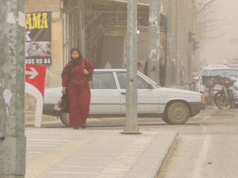 Suriye üzerinden geldi, direkt Şanlıurfa'ya giriş yaptı. Her yeri etkisi altına aldı. Başka şehirler de sıçrayabilir - Resim: 4