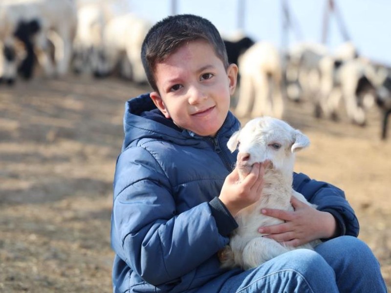 Elazığ'da 300 tane koyunu olan çoban, Türkiye'ye Elazığ'dan resmen korkunç haberi verdi. Köylerde gördüğü bir manzara - Resim: 4