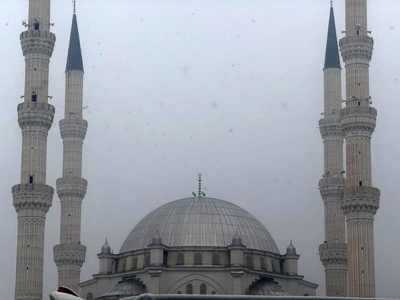 Iğdır'dan Türkiye'ye resmen felaket alameti. 2 tane karın altında kalan hayvanı görenler dehşete düştü. Orada olmamaları gerekti - Resim: 3