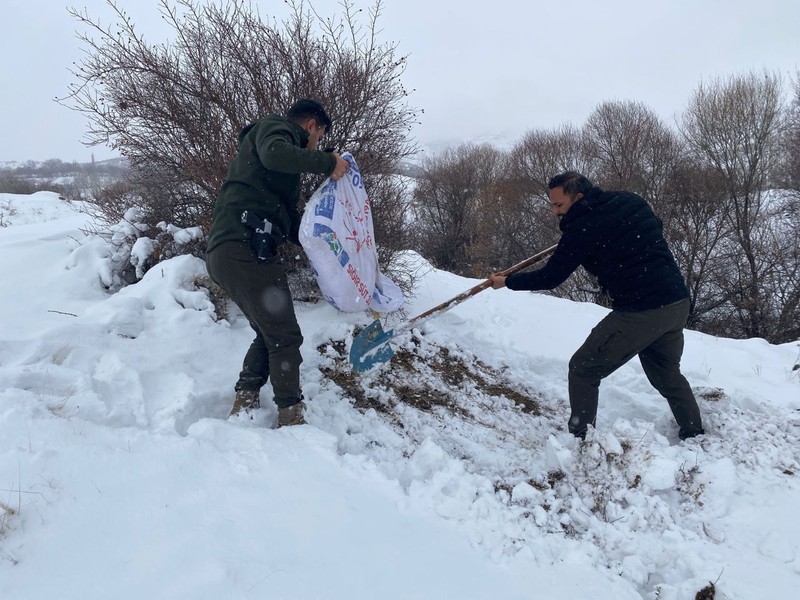 Malatya’da karda 150 kilogram yonca balyası ve 50 kilogram arpa karışımı tek tek çeşitli bölgelere bırakıldı. Ahırdaki koyunlar rahat uyuyacak - Resim: 1