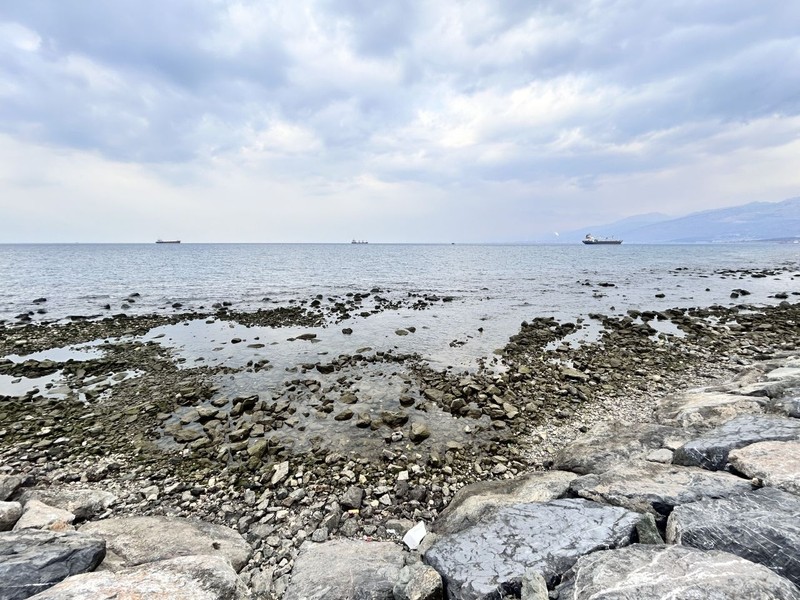 İskenderun Körfezi'nde görülen manzara tedirgin etti. Daha önce böyle bir şeyle kimse karşılaşmadı - Resim: 2