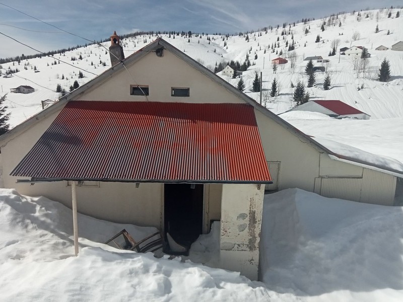 Giresun ve Trabzon arasında yer alan Sis Dağı Yaylası'nda kar üstünde korkunç olay! Vahşi hayvan yaylaya indi, her şeyi dişlerinin arasından geçirdi - Resim: 1