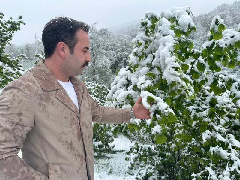 Ordu'da nisan ayında dışarı çıkan vatandaşlar sürpriz bir manzara ile karşılaştı. Fındık üreticileri manzara ile tedirgin oldu - Resim: 1