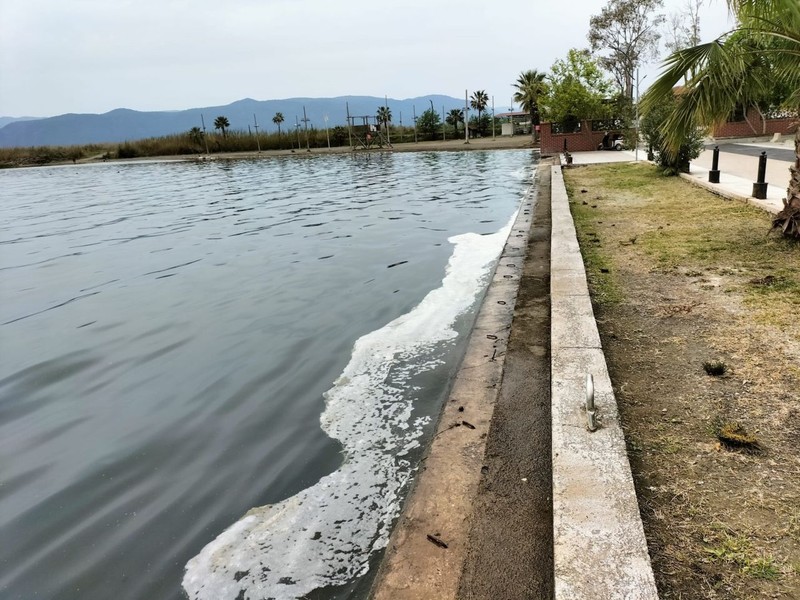 Muğla'daki Köyceğiz Gölü'nde endişelendiren görüntü! Gölün yüzeyini beyazımsı tabaka ve köpük birikintileri kapladı - Resim: 5
