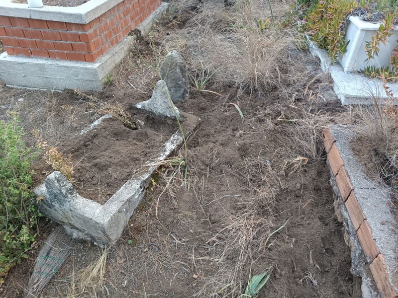 Antalya'da 50'lercesi bir anda akın etmeye başladı. Mahalleli mezarlığa gidince korkunç manzarayı gördü. Acil tel örgü çağrısı - Resim: 1