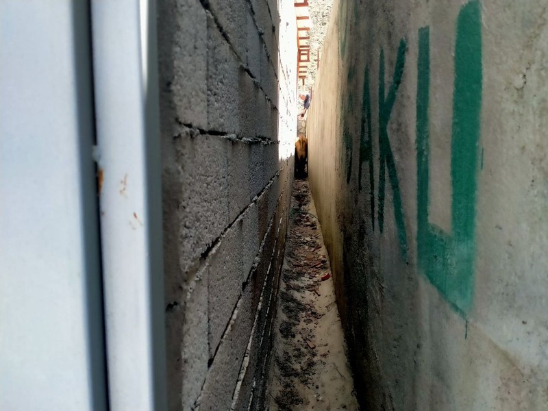 Batman'da 1 tane inek mahsur kalmıştı... 112 ile acilen bölgeye çağrılan ekipler 1 tane ineğin mahsur kaldığı yeri görünce inanamad - Resim: 3