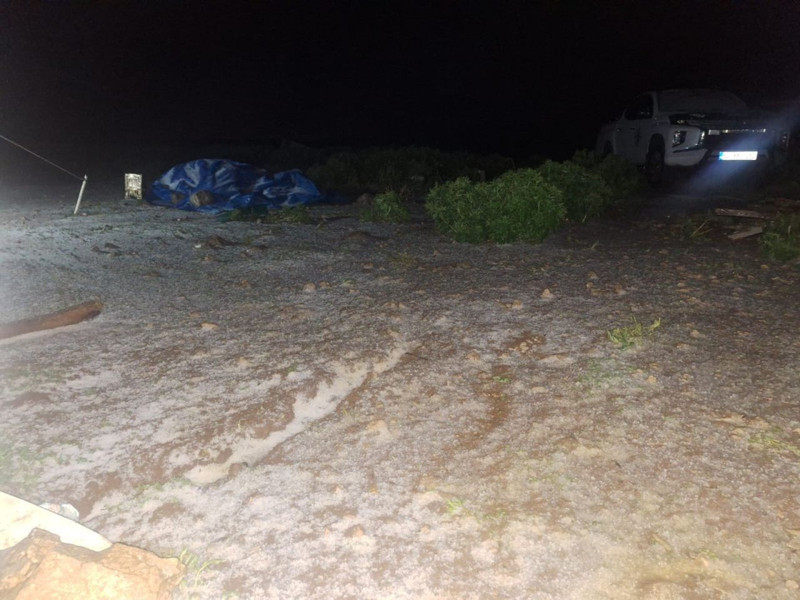 Tunceli'de temmuz ayında 100'lerce koyunun olduğu Munzur Dağı'ndaki sürpriz manzarayı fark eden vatandaş olduğu yerde durdu kaldı - Resim: 1