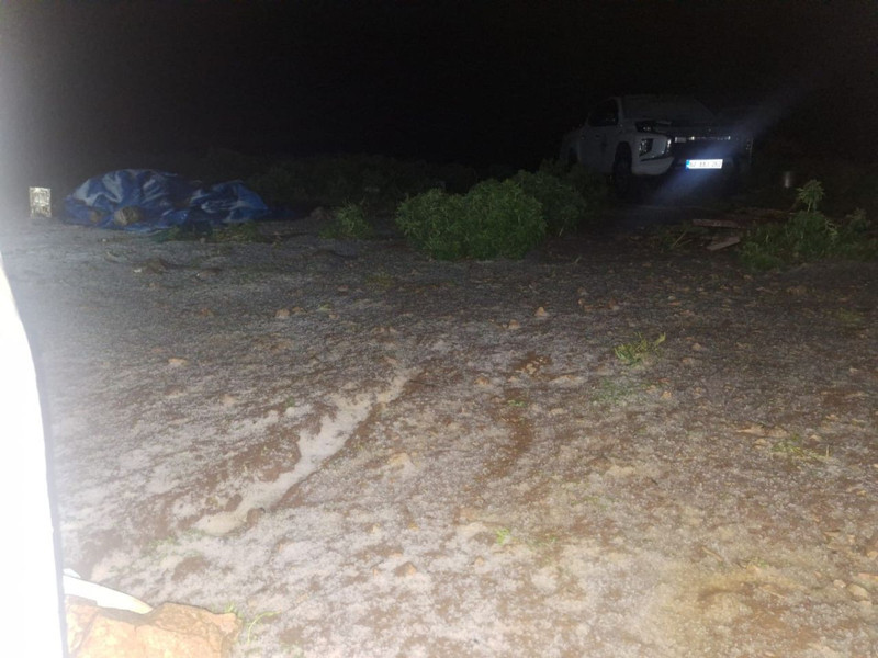 Tunceli'de temmuz ayında 100'lerce koyunun olduğu Munzur Dağı'ndaki sürpriz manzarayı fark eden vatandaş olduğu yerde durdu kaldı - Resim: 3