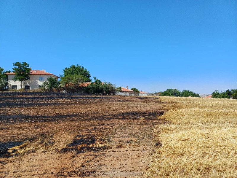 Çorum Alaca’da çıkan anız yangınında korkulan olmadı. Yangın yerleşim alanlarına sıçramadan söndürüldü - Resim: 2