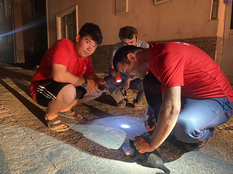 Ordu Ünye’de otomobil motoruna sıkışan yavru kedi itfaiye ekiplerince kurtarıldı - Resim: 1